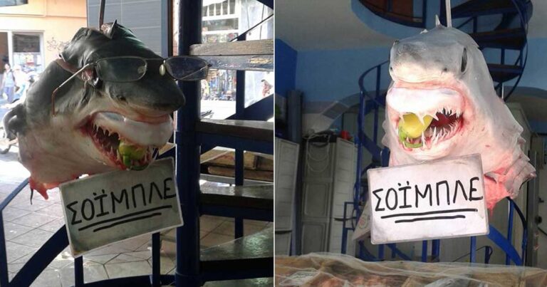 Στη Λέσβο ψάρεψαν τον… Σόιμπλε!