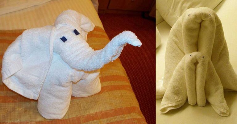 Φωτογραφίες από εντυπωσιακά διπλωμένες πετσέτες!