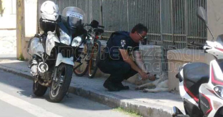 Αστυνομικός της ομάδας Δ.Ι.Α.Σ κατεβαίνει από την μηχανή και για να ξεδιψάσει έναν αδέσποτο σκύλο.