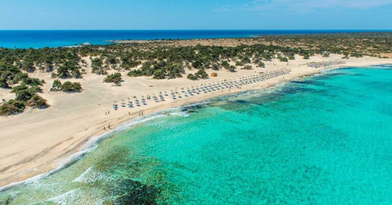 Γαϊδουρονήσι: Το διαμάντι του νότου. Γραφικό, ακατοίκητο, κατάφυτο από κέδρους και με χρυσές αμμουδιές.