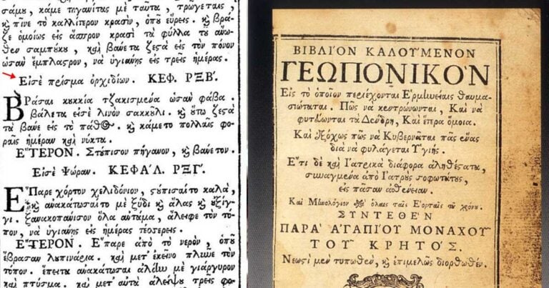 Τι πρέπει να κάνεις αν πρηστούν τα αρ*^δια σου. Η λύση από τον μονάχο Aγάπιο.