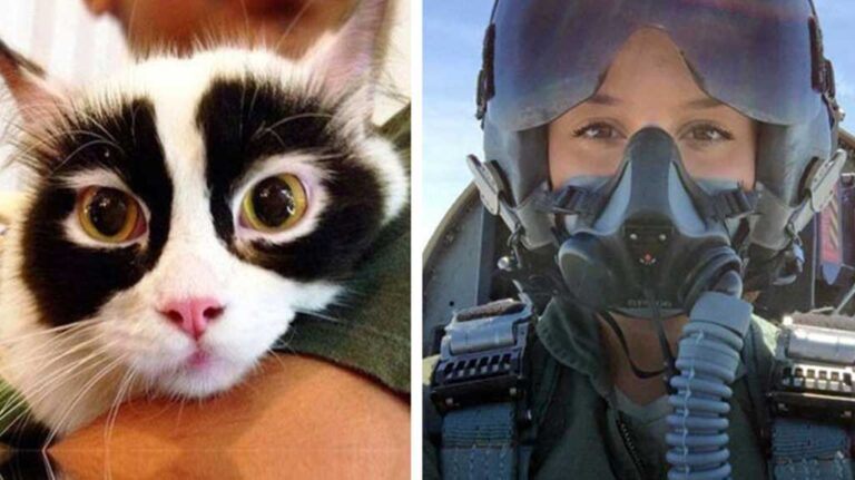 34 αστείες παράξενες και εντυπωσιακές φωτογραφίες