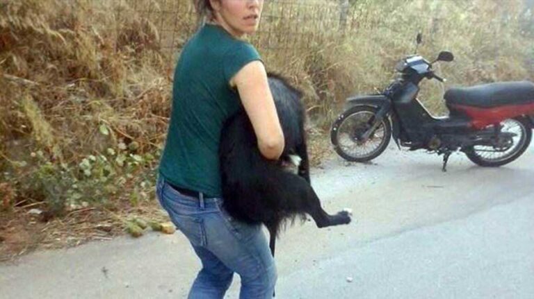 Φιλόζωοι έσωσαν σκυλιά από καταφύγιο στο Βύρωνα πριν τα πνίξει ο καπνός της πυρκαγιάς.