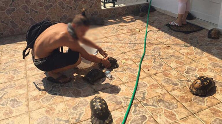 Η «διαφορετική» πλευρά μιας πυρκαγιάς!