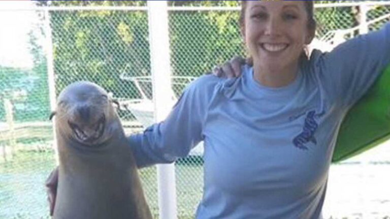 19 φώκιες που ξεκαρδίζονται στα γέλια! Θα σας κάνουν να ξεκαρδιστείτε και εσείς!