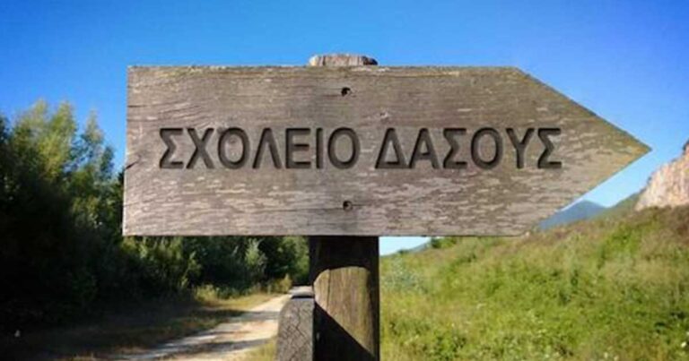 Η Αθήνα καλωσορίζει το πρώτο Σχολείο του Δάσους