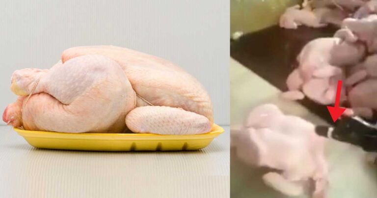 Δείτε τι κάνουν στα κοτόπουλα για να τα πουλήσουν… ακριβότερα.