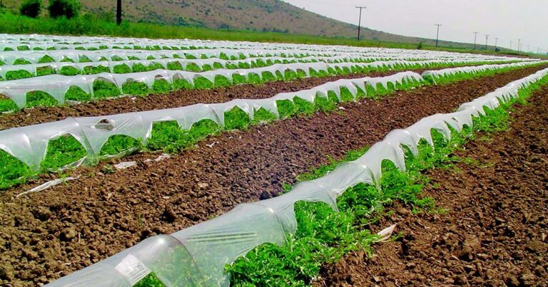 Ολιγοπωλιακή βιομηχανική γεωργία αποφασίστηκε στο Eurogroup για την Ελλάδα