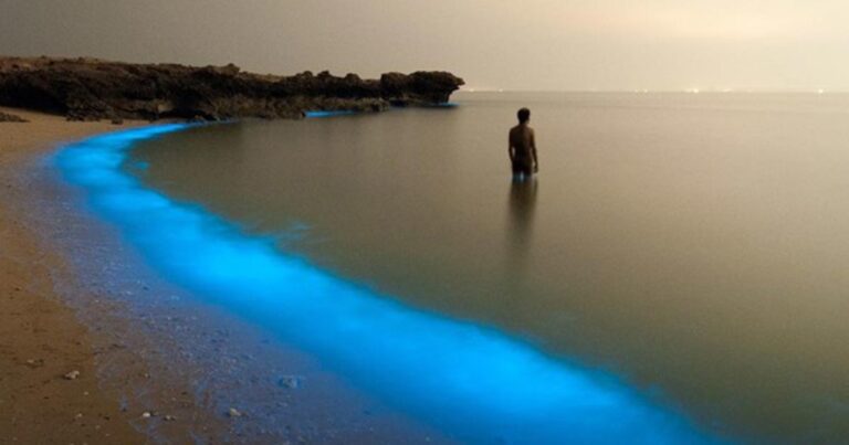 Γιατί αυτή η παραλία λαμπυρίζει την νύχτα;