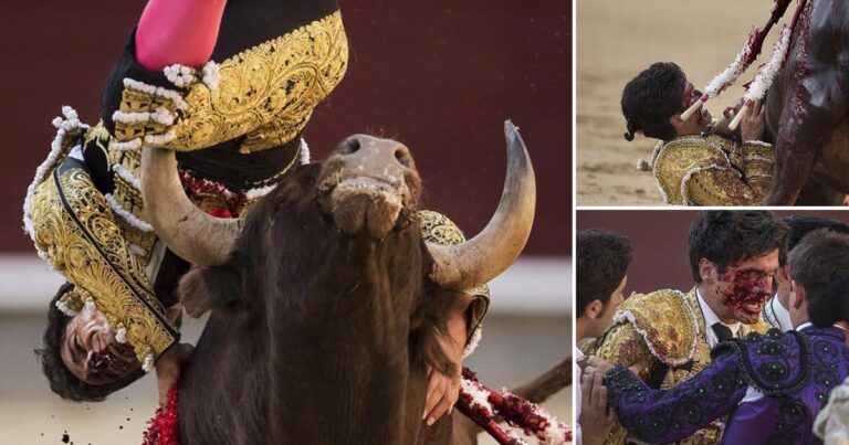 Ο ταύρος τον εκδικήθηκε! Κάρφωσε στο λαιμό τον ταυρομάχο και τον τίναξε στον αέρα!