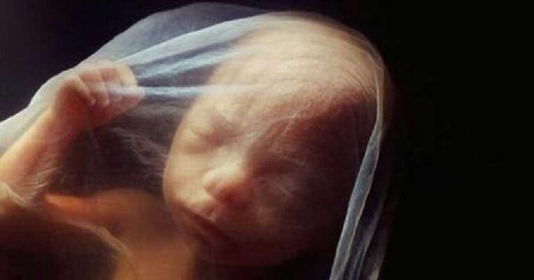 Εκπληκτικές εικόνες: Έτσι αρχίζει μια νέα ζωή!