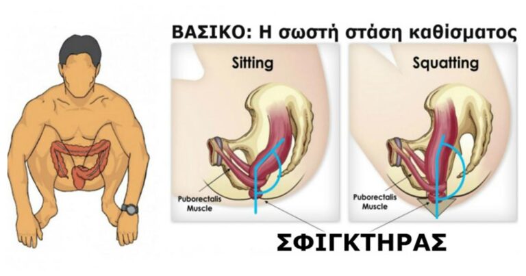 Tα 9 πράγματα που πρέπει να γνωρίζετε για την αφόδευση