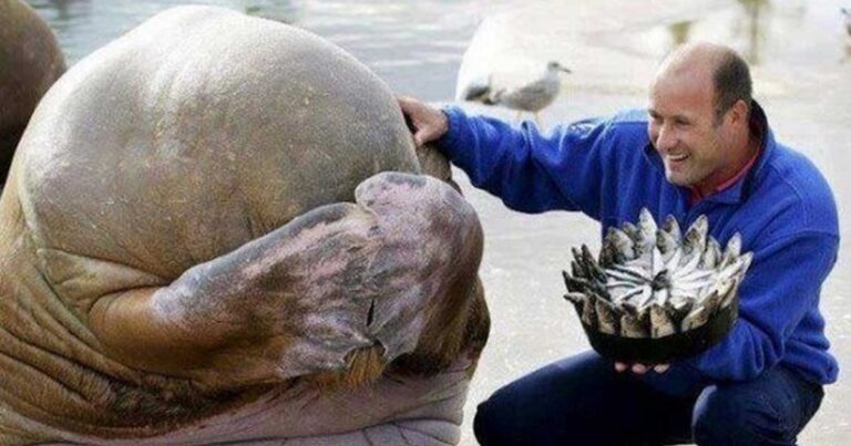 Αυτές οι 20 φωτογραφίες θα σας φτιάξουν πραγματικά τη μέρα!