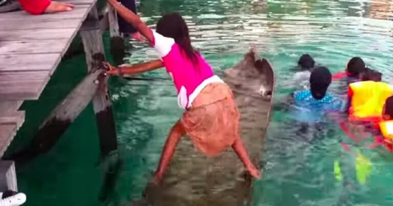 Μικρό κοριτσάκι αποτρέπει κανό με επιβάτες από το να βυθιστεί!