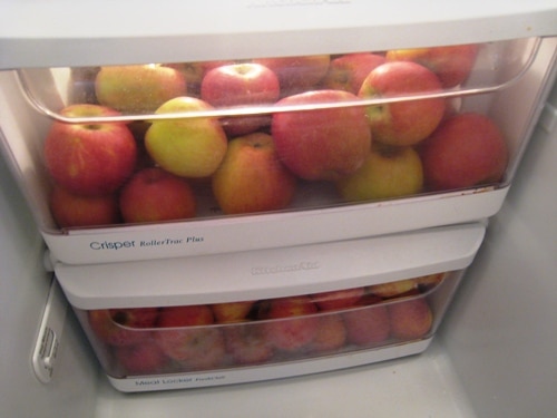 25ST-fridge-apples