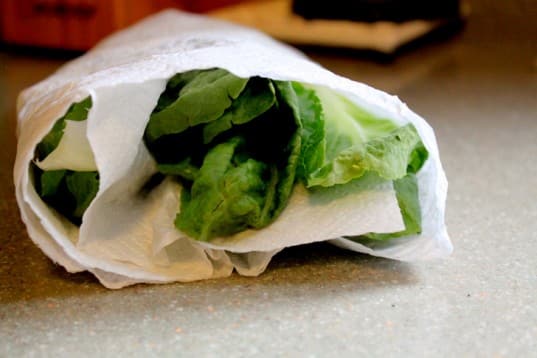 25ST-lettuce_papertowel