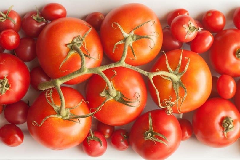 25ST-Tomatoes_fresh