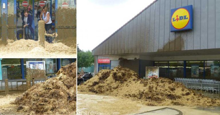 Γάλλοι αγρότες εκδικήθηκαν τα LIDL γεμίζοντας τα με… κοπριά!
