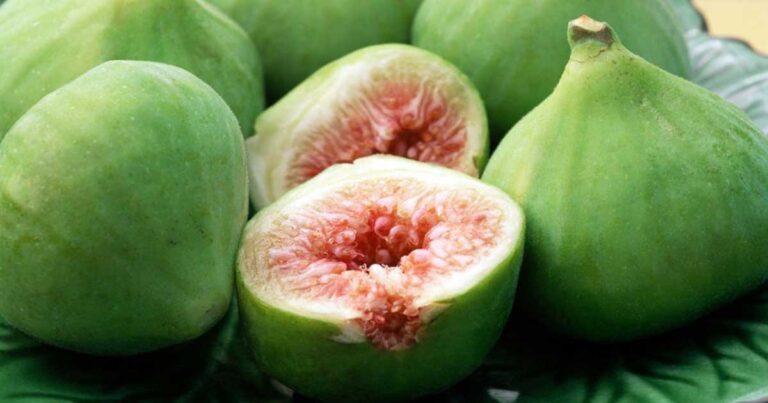 Σύκο: το φρούτο με τα 9 οφέλη για την υγεία μας!