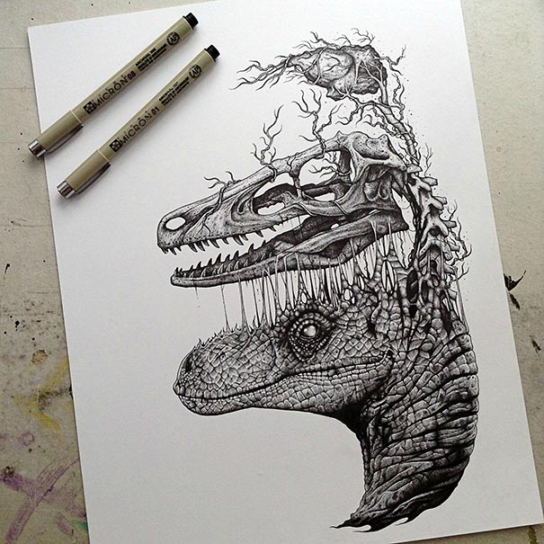 animal-skull-drawings-paul-jackson-1