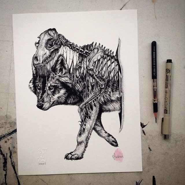 animal-skull-drawings-paul-jackson-16