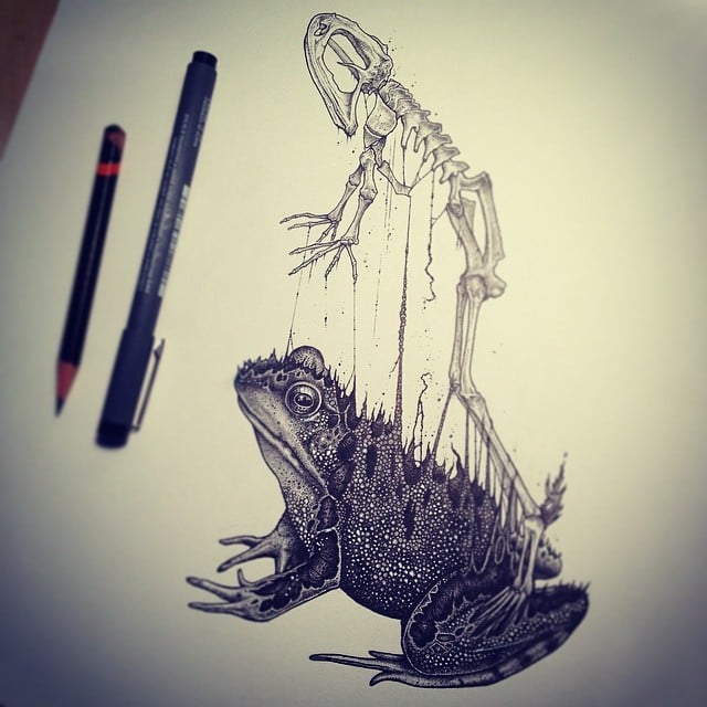 animal-skull-drawings-paul-jackson-3