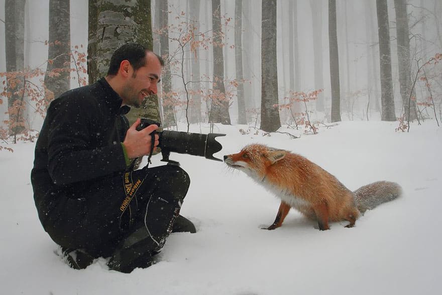 animals-with-camera-helping-photographers-21-1__880