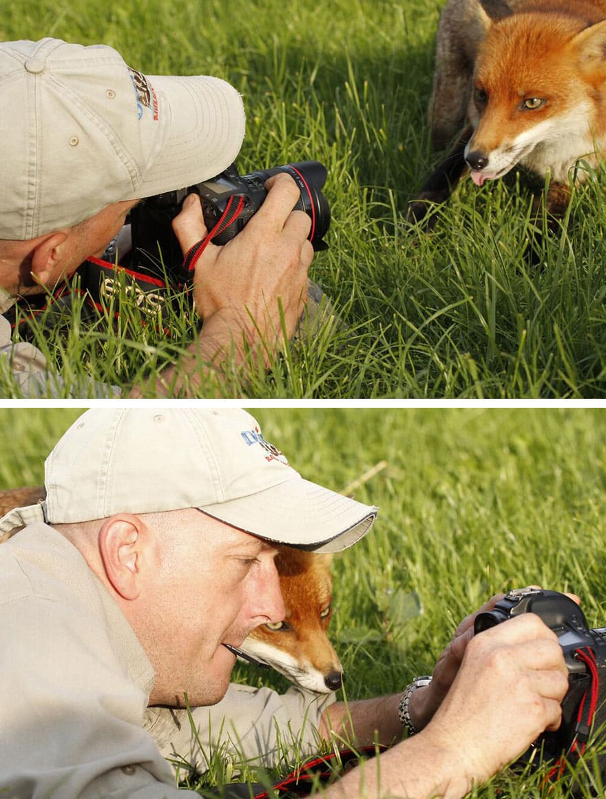 animals-with-camera-helping-photographers-31__880-2