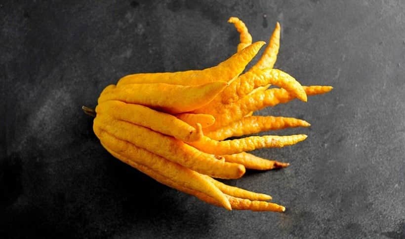 buddhashand11