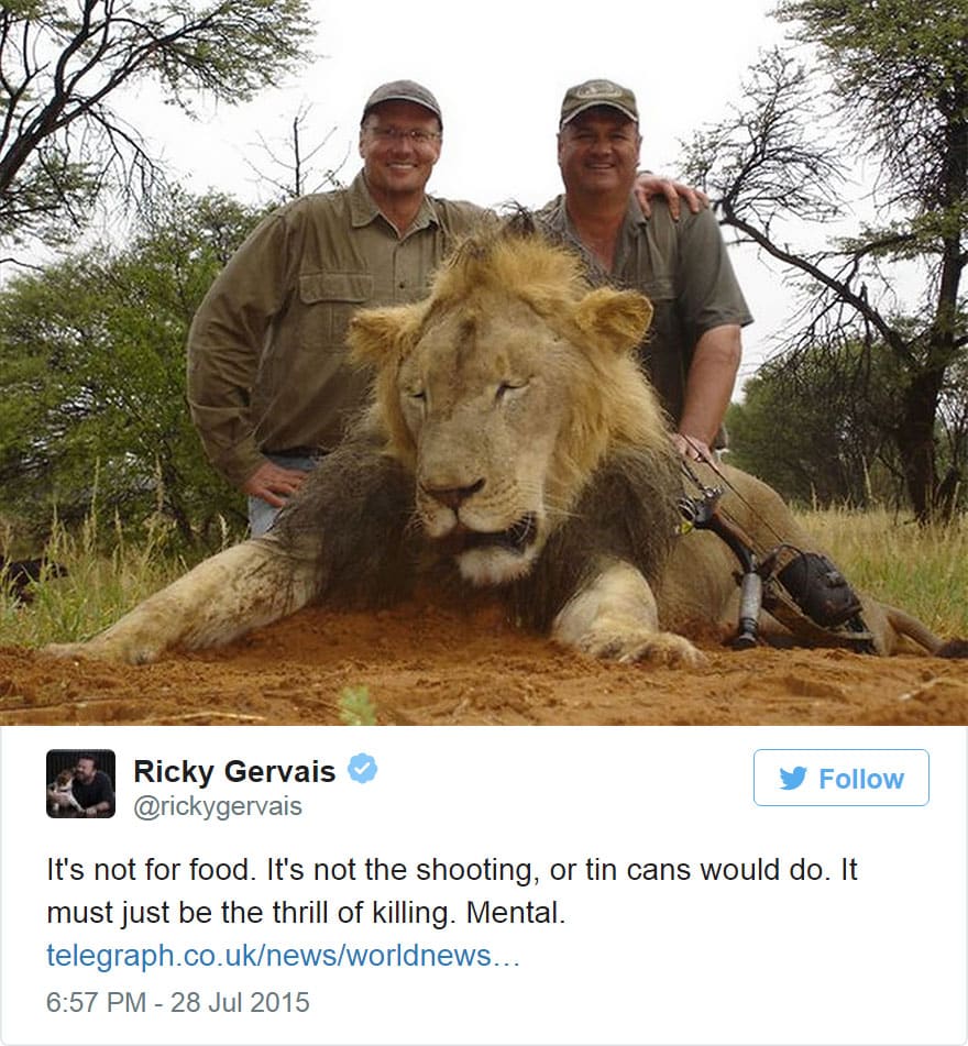 cecil-lion-illegal-hunting-internet-backlash-walter-palmer-zimbabwe-8