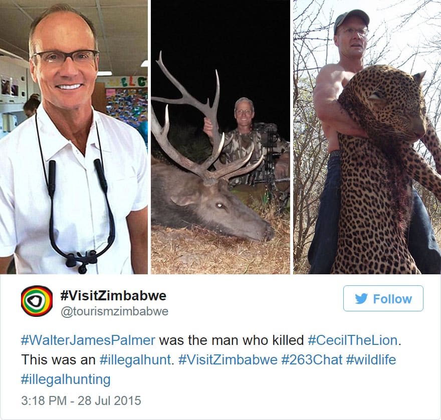 cecil-lion-illegal-hunting-internet-backlash-walter-palmer-zimbabwe-9