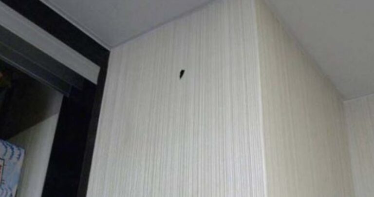 Οι ιδιοκτήτες αυτού του σπιτιού ανακάλυψαν κάτι πολύ περίεργο κολλημένο στον τοίχο τους!