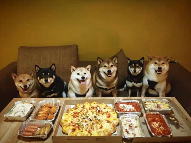 daily_picdump_1857_640_67