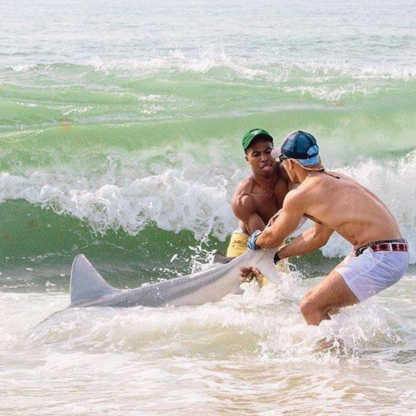daily_picdump_1861_640_94