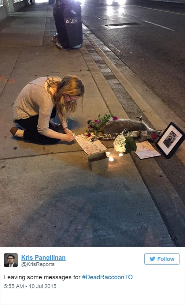 dead-raccoon-memorial-shrine-mourning-deadraccoonto-toronto-18