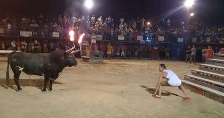 Τα πιο τρομερά FAILS για το πρώτο εξάμηνο του 2015 (βίντεο)