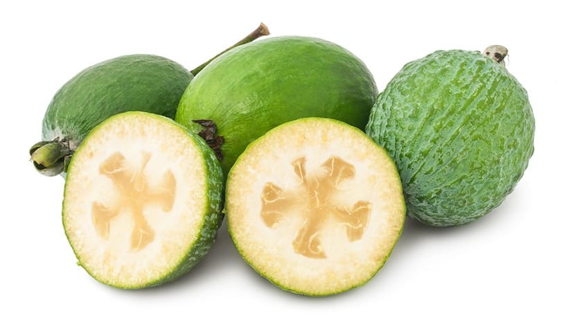 feijoa1