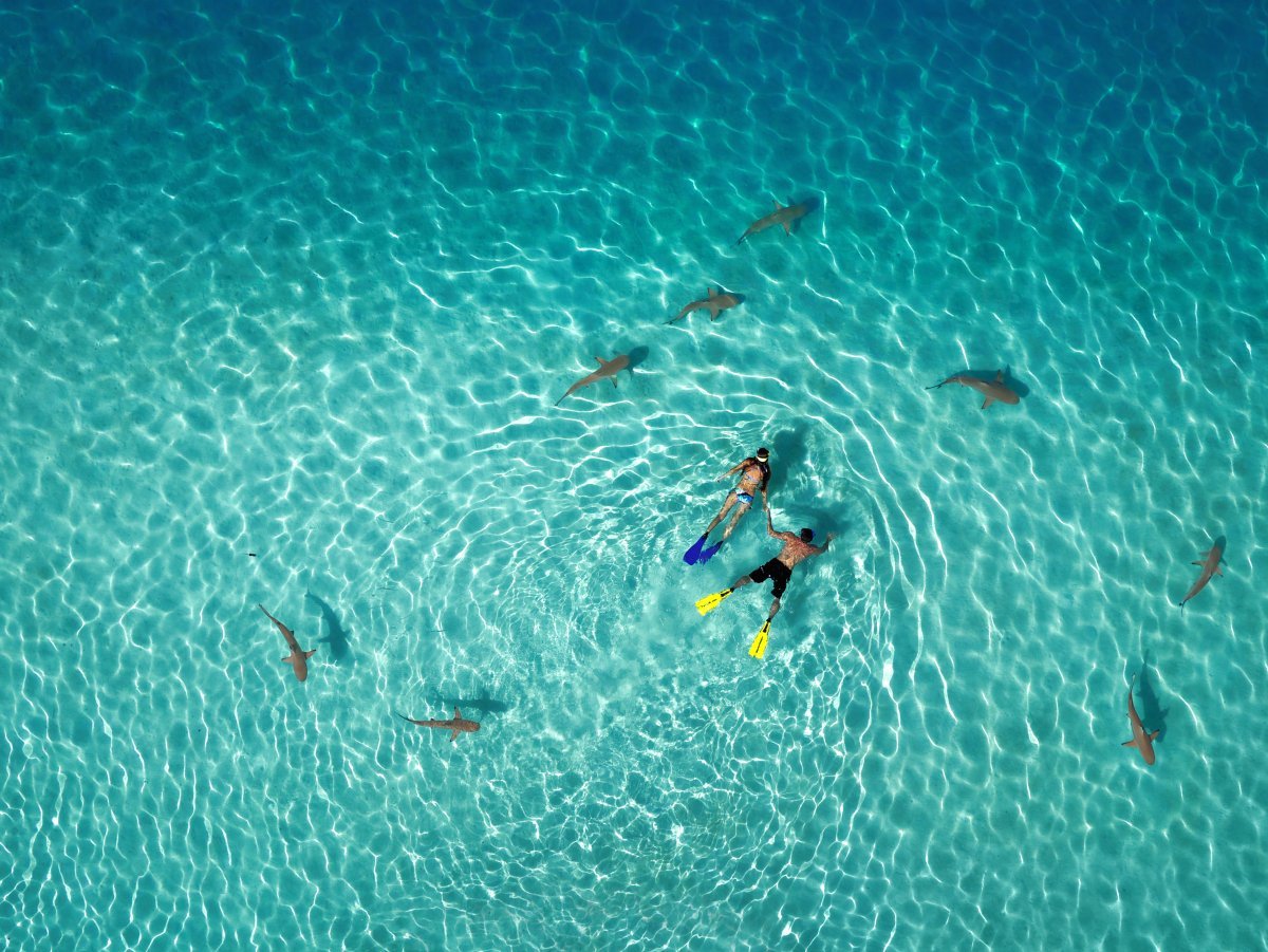 french-polynesia--1st-place-in-nature-category