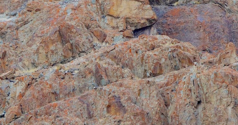 Λεοπάρδαλη του χιονιού: Οι περισσότεροι άνθρωποι δεν μπορούν να εντοπίσουν αυτό το ζώο. Εσείς θα τα καταφέρετε;