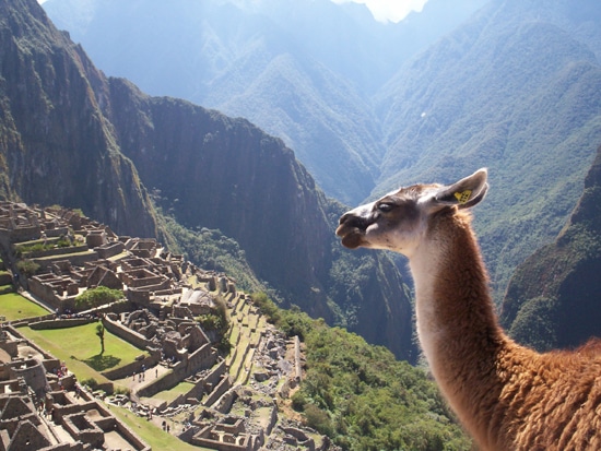 tilestwra.com -  Machu Picchu