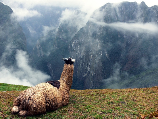 tilestwra.com -  Machu Picchu