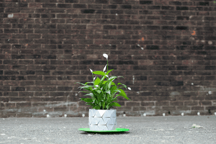 tilestwra.com -  Γλάστρα... μεγαλώνει μαζί με το φυτό!