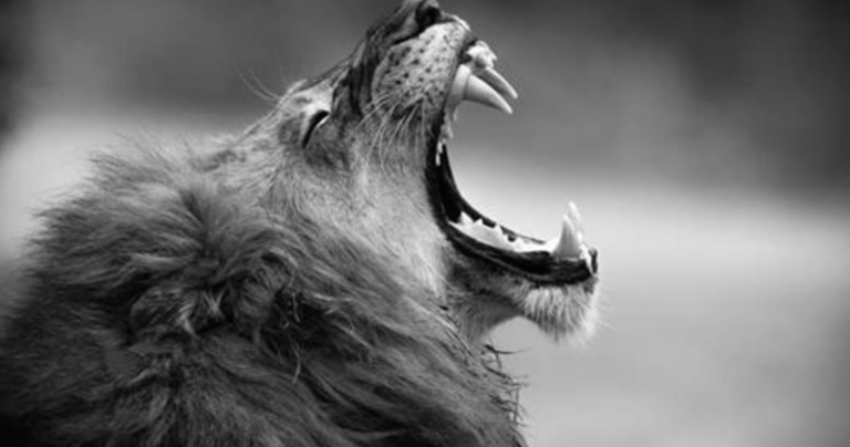 15 απίθανες φωτογραφίες από τον διαγωνισμό National Geographic Traveler 2015