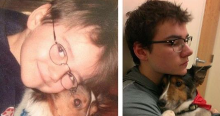 Οι πρώτες και οι τελευταίες φωτογραφίες κατοικιδίων λίγο πριν το τελευταίο αντίο