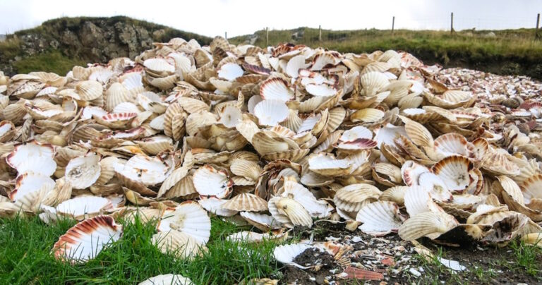 Έφτιαξε 12 πανέμορφες κούκλες από… κοχύλια!