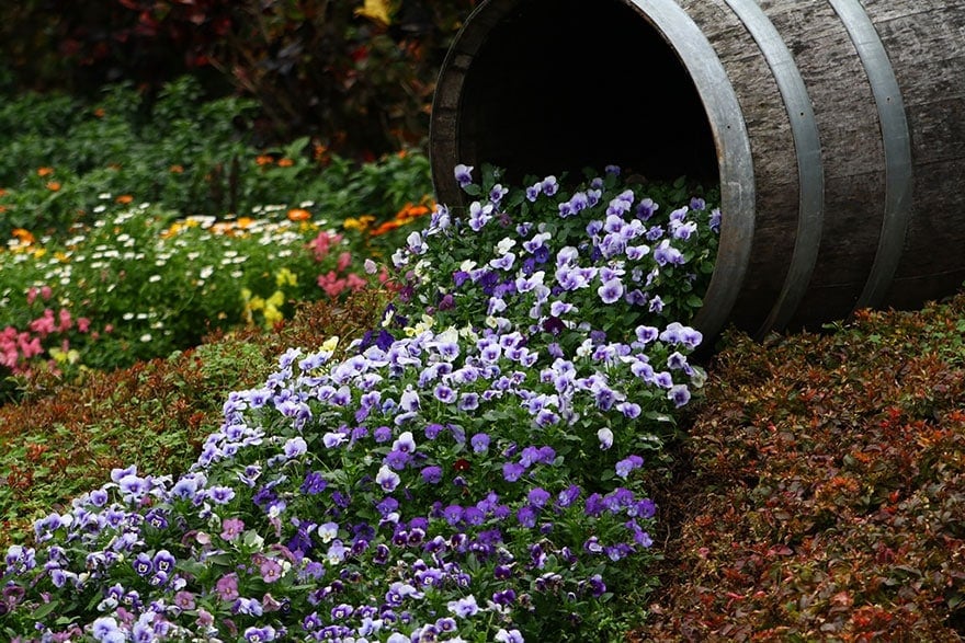 spilled-flowers-garden-ideas-10__880