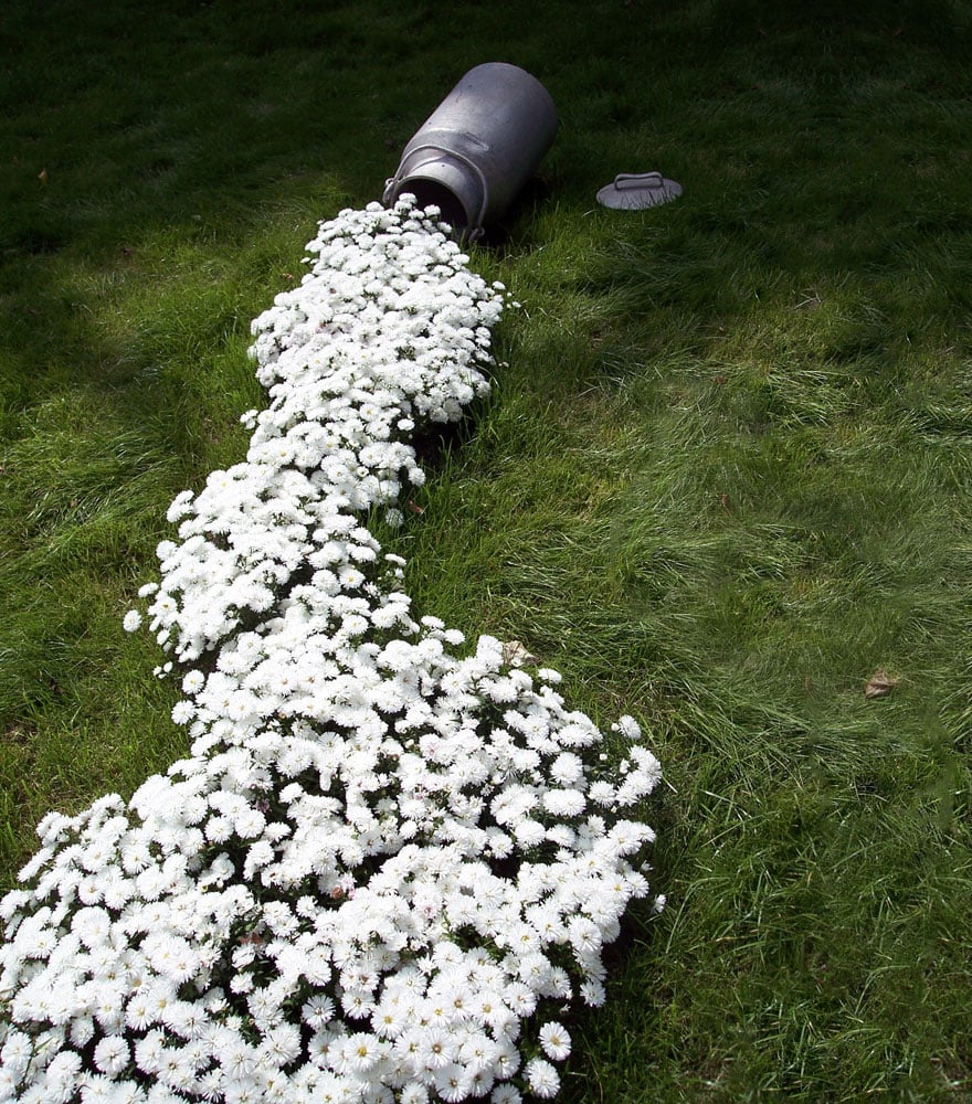 spilled-flowers-garden-ideas-3__880