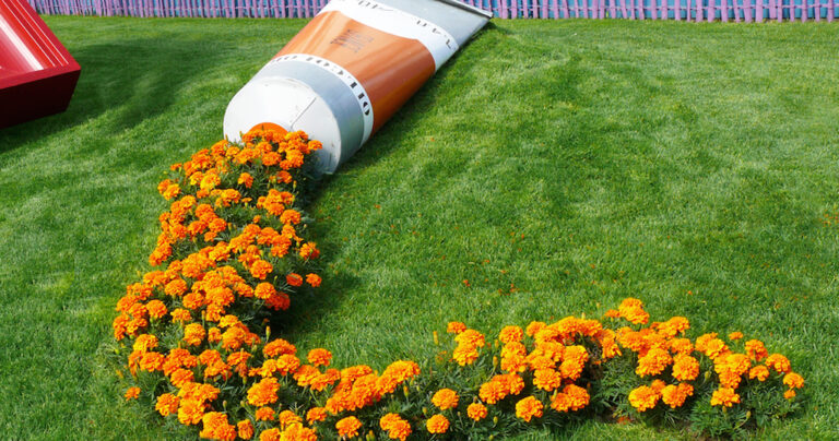 15 εικόνες με γλάστρες λουλουδιών που γίνονται έργα τέχνης!