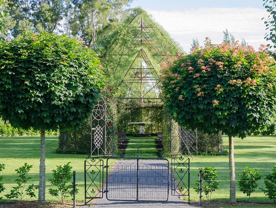 tree church nature installation barry cox new zealand 1 1