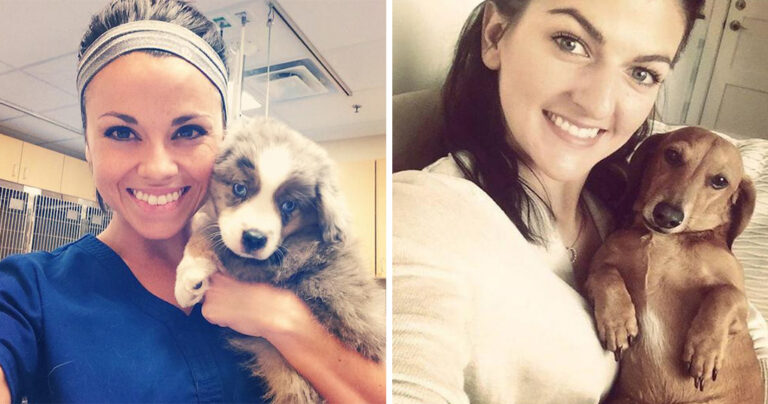 55 φωτογραφίες που αποδεικνύουν ότι ο σκύλος είναι ο καλύτερος σύντροφος!